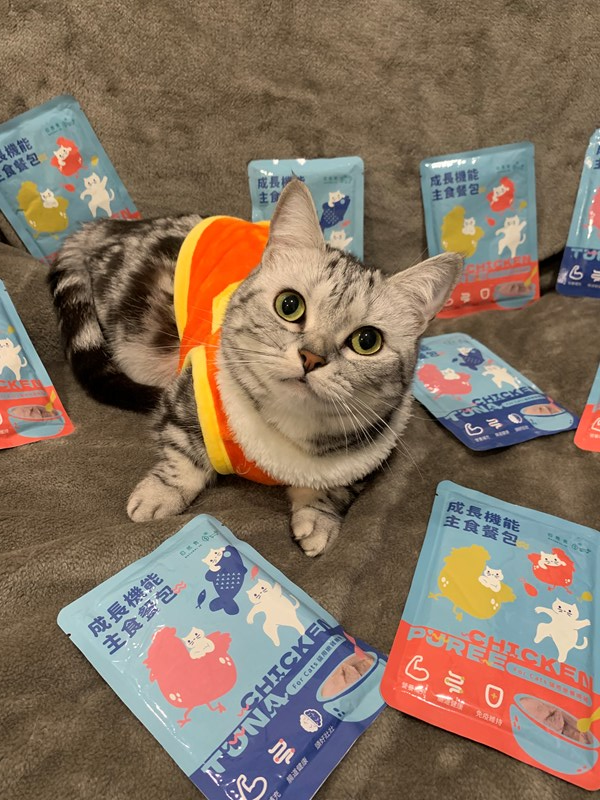 女人知己試用大隊,口碑行銷,部落客行銷,自然食 成長機能主食餐包,自然食,成長機能狗狗主食餐包,成長機能貓咪主食餐包,滿足毛孩最單純的幸福,人食等級食材,開封即食,綿密的肉泥狀質地,好吸收,無膠類,無色素,無防腐劑的添,維持腸道健康,添加DHA/靈芝多醣體,使用高優質蛋白,適口性佳,狗狗口味,犬用營養火雞,犬用嫩雞牛肉,貓咪口味,貓用營養嫩雞,貓用嫩雞鮪魚